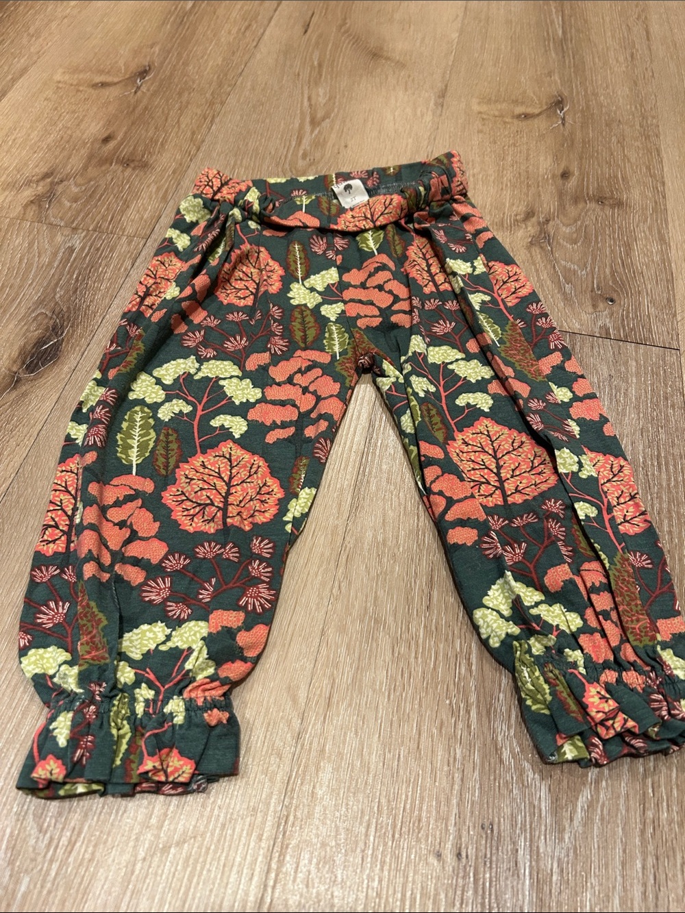 kate quinn Green & Coral Floral Forest Knit Pants